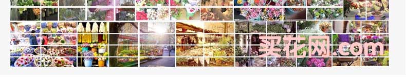 �ʻ��ٵ���ҵ֪��Ʒ��